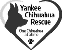 Yankee Chihuahua Rescue logo