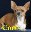 Coco