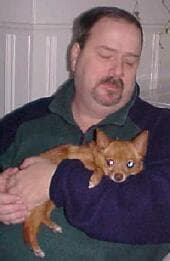 Peeka - adopted chihuahua