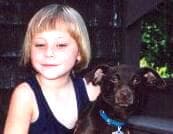 Sammy - adopted chihuahua